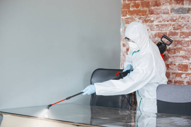 Best Forensic Mold Investigation  in Ofallon, IL