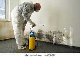  Ofallon, IL Mold Removal Services Pros